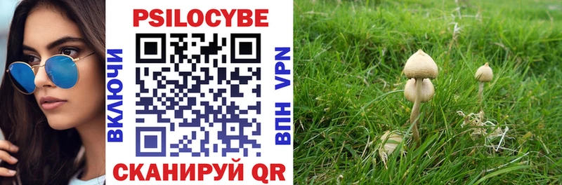omg tor  Петров Вал  Галлюциногенные грибы ЛСД  купить закладку 